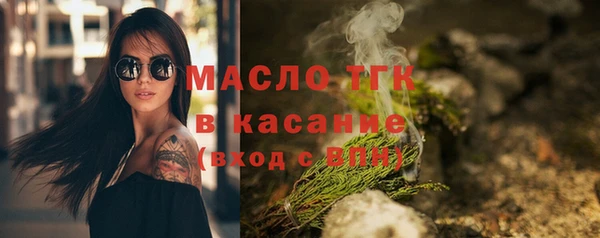 гашик Горняк