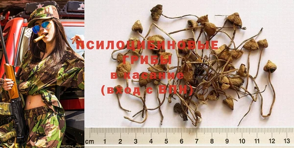 mix Гусев