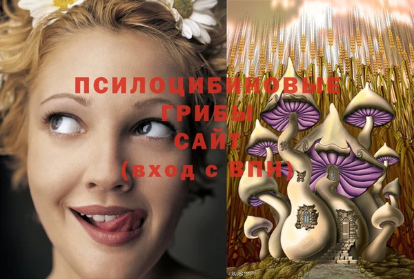 мефедрон мука Дмитровск
