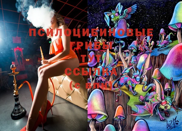 марки lsd Гусиноозёрск