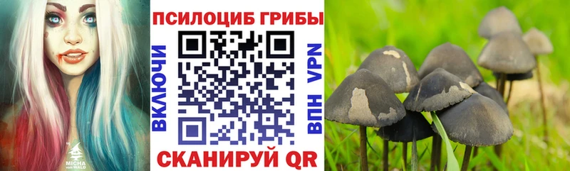 Псилоцибиновые грибы GOLDEN TEACHER  Старый Оскол 